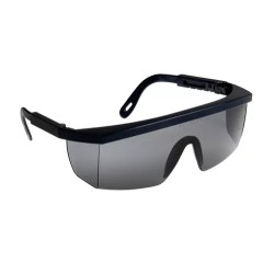 Okulary Coverguard ECOLUX szare