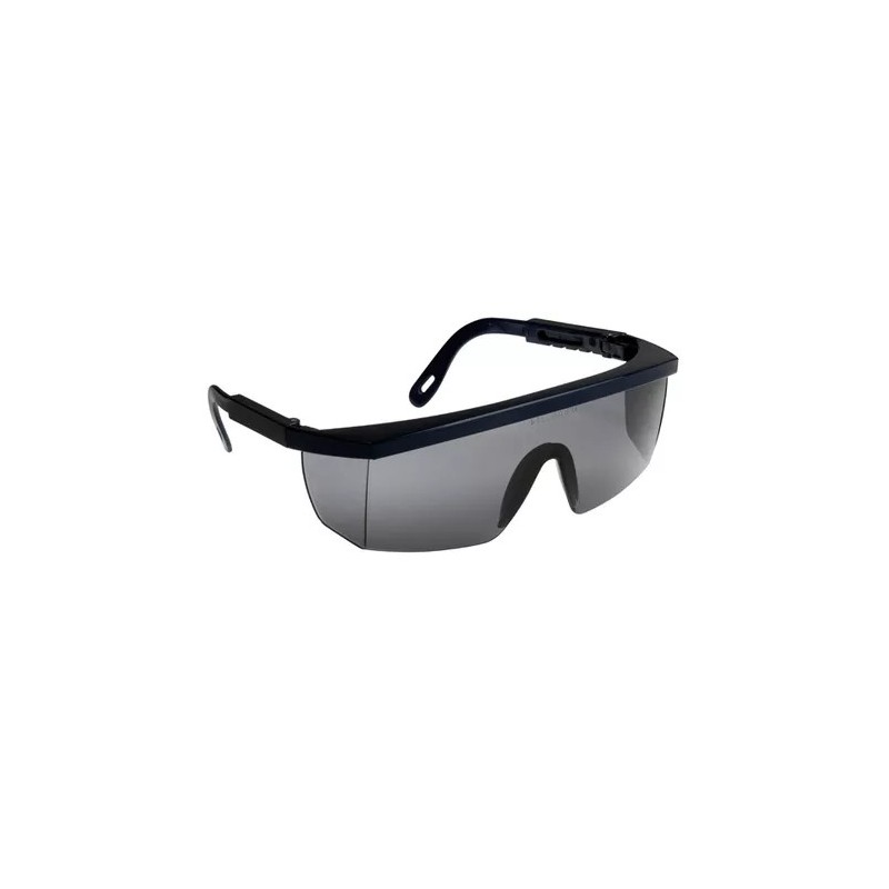 Okulary Coverguard ECOLUX szare