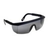 Okulary Coverguard ECOLUX szare
